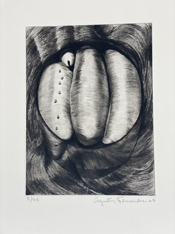 Agustin FERNANDEZ (1928-2006) - Les Milles Pattes, Yvon Taillandier, 1965 - 7 p…