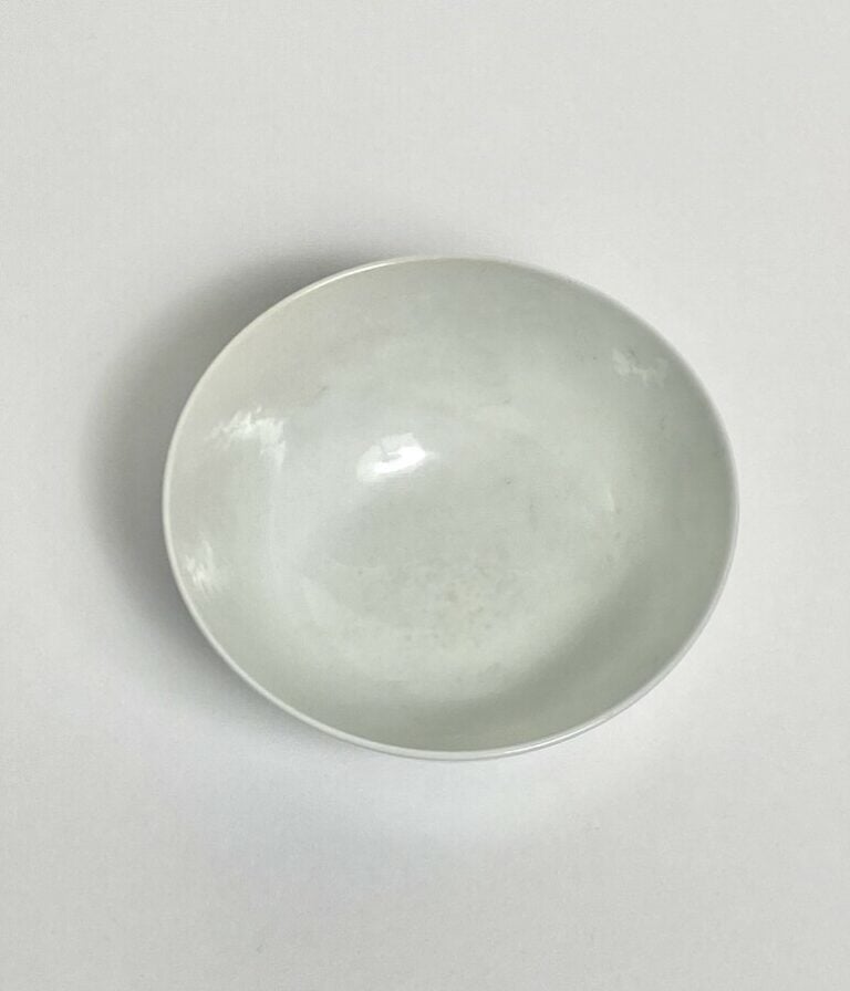 Bol en porcelaine bleu blanc, à décor de végétaux stylisés et chauve- souris. -…