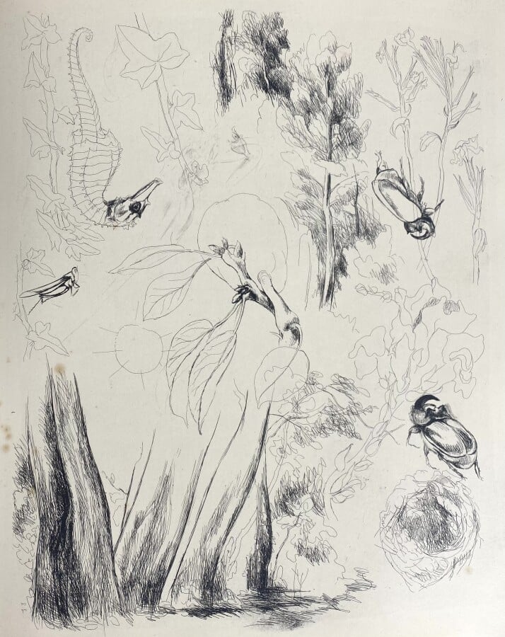 (Léopold LÉVY) (1882-1996) - Lucrèce, De la nature, Galerie Le Nouvel Essor, Pa…