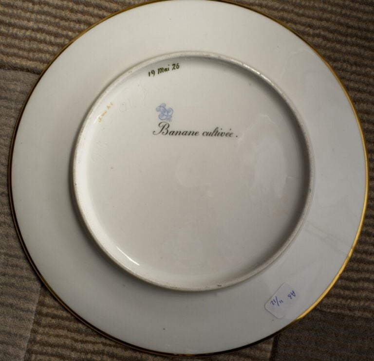 SEVRES - 6 assiettes du service de la duchesse de Berry, décor polychrome de fr…