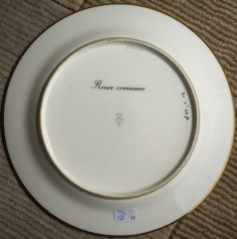 SEVRES - 6 assiettes du service de la duchesse de Berry, décor polychrome de fr…