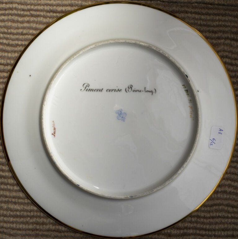 SEVRES - 6 assiettes du service de la duchesse de Berry, décor polychrome de fr…