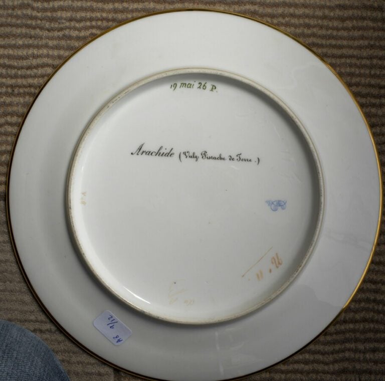 SEVRES - 6 assiettes du service de la duchesse de Berry, décor polychrome de fr…