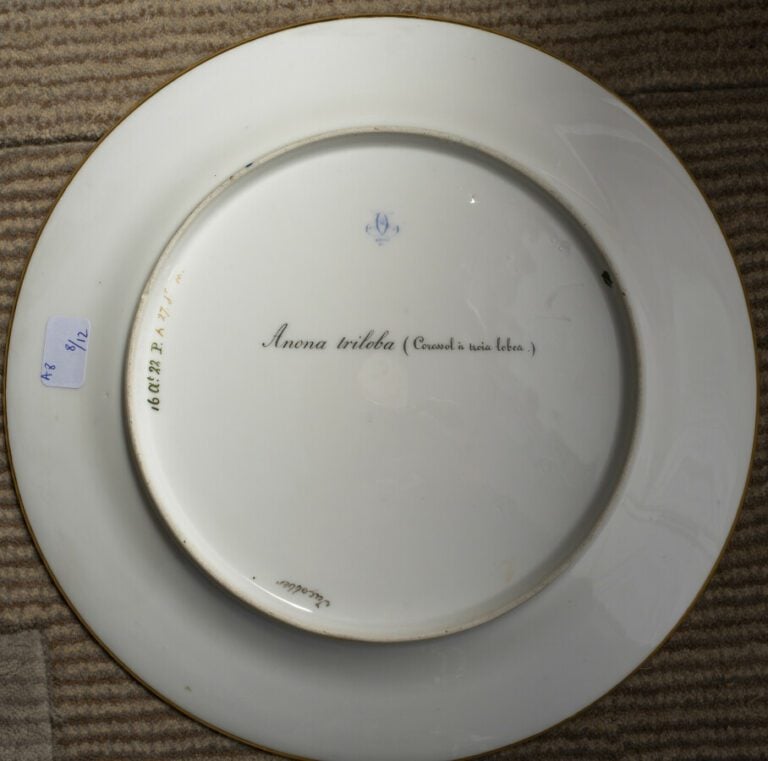 SEVRES - 6 assiettes du service de la duchesse de Berry, décor polychrome de fr…