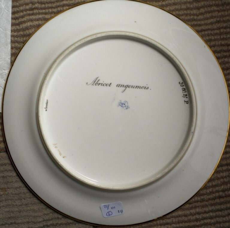 SEVRES - 6 assiettes du service de la duchesse de Berry, décor polychrome de pr…