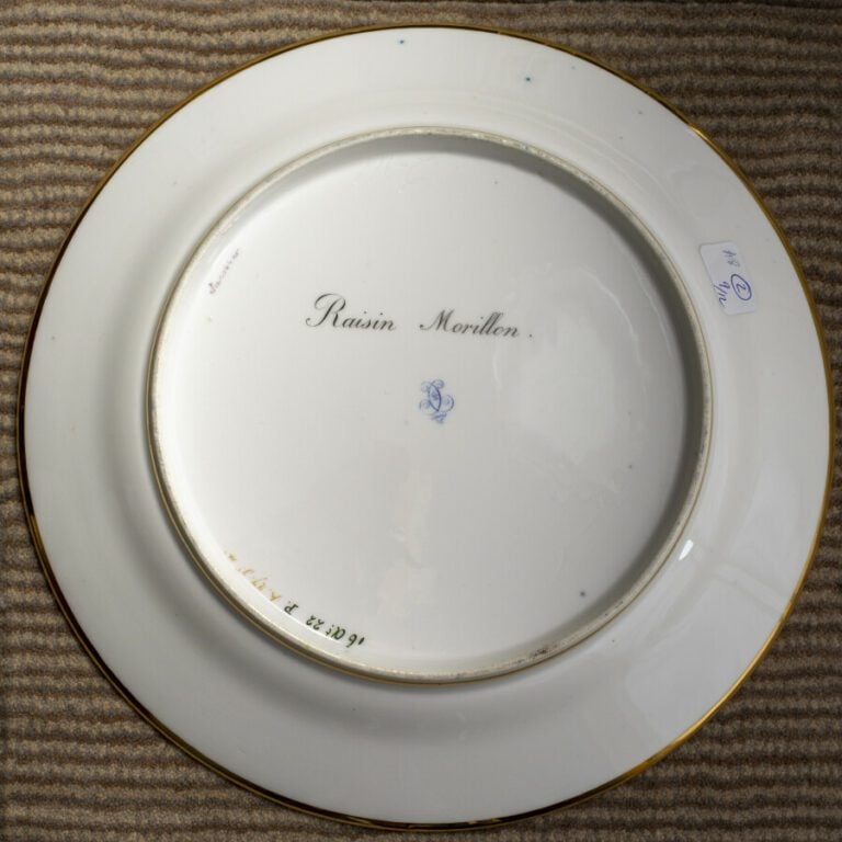 SEVRES - 6 assiettes du service de la duchesse de Berry, décor polychrome de ra…