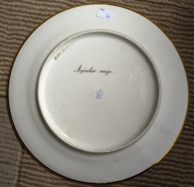 SEVRES - 6 assiettes du service de la duchesse de Berry, décor polychrome de ra…