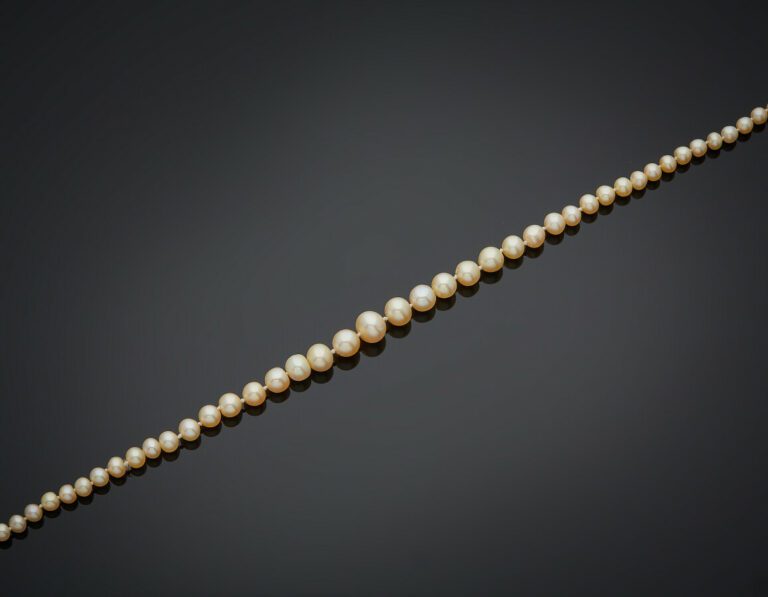 COLLIER composé d'un rang de 190 perles fines en chute de couleur blanc-crème.…