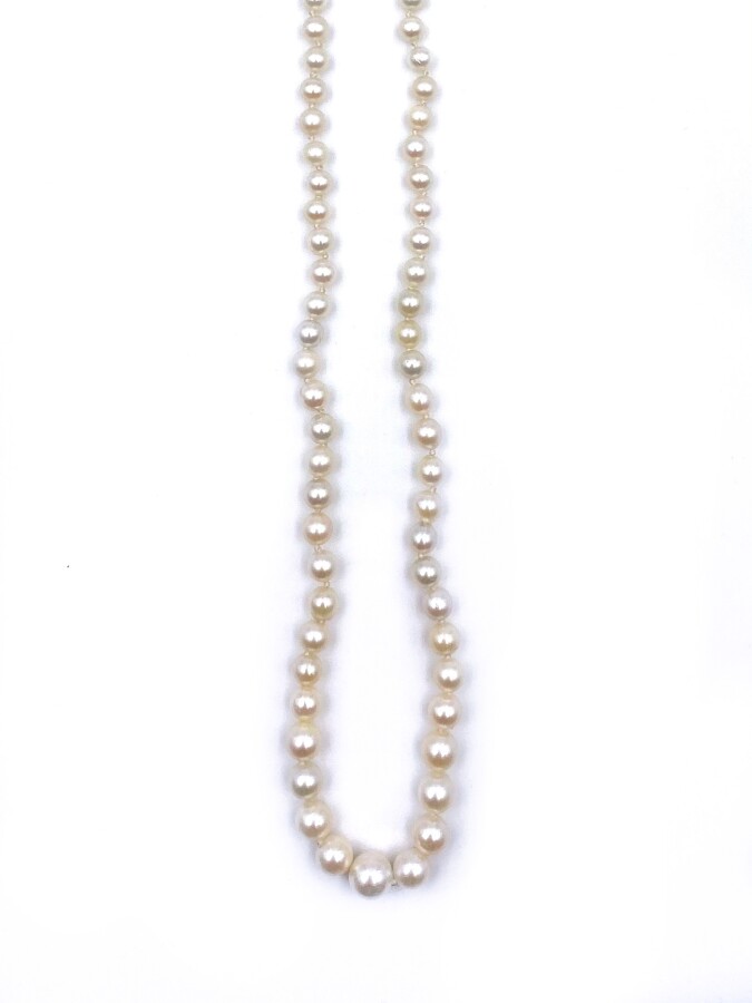 COLLIER de perles de culture blanches, en chute. Fermoir en or jaune (750 milli…