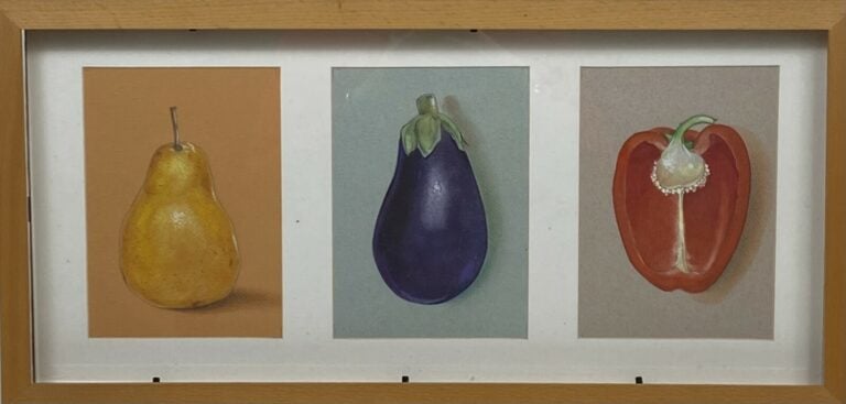 Ensemble de pièces encadrées : 3 légumes dans une même encadrements, 2 gravures…