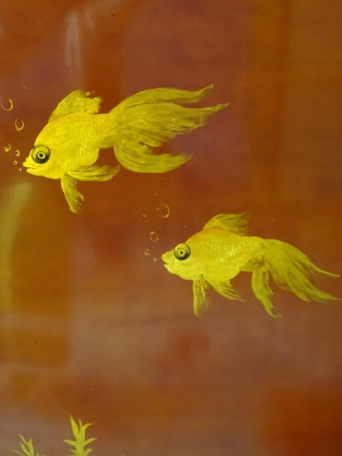 HONG NGOC (?) - Vietnam/ Indochine - Les poissons rouge de l'Abondance / Goldfi…