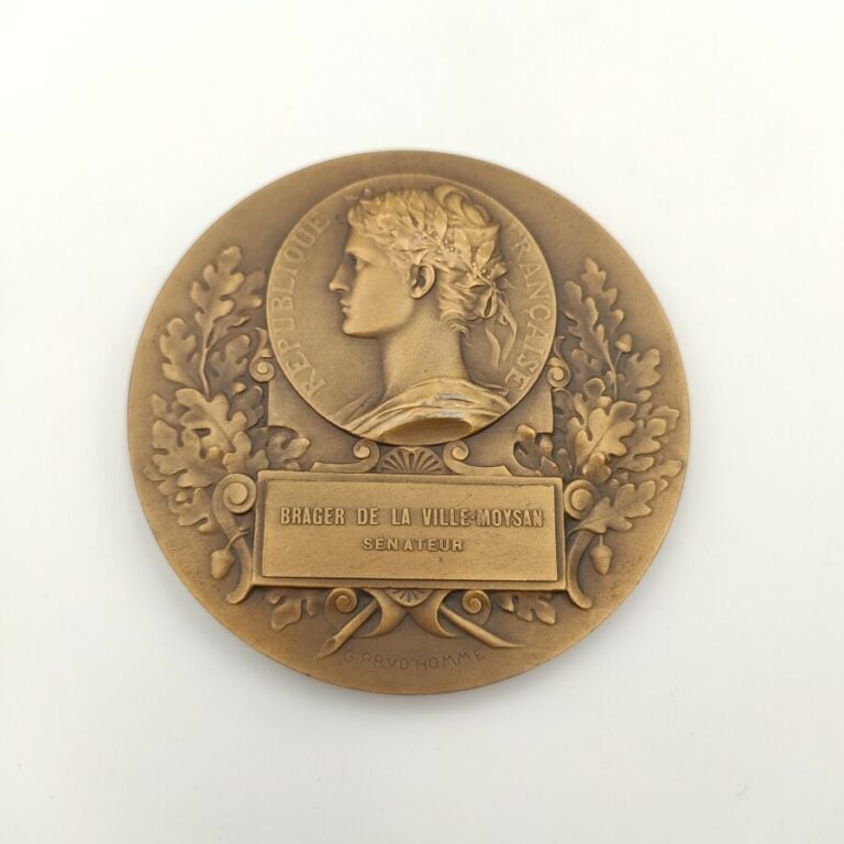 IIIe République (1870-1940). Médaille Art-Déco de l'Assemblée Nationale en bron…