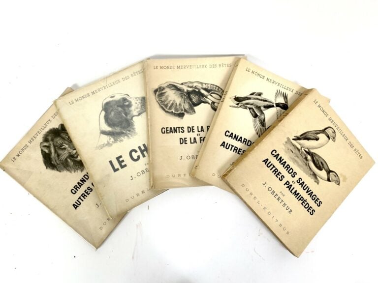 Jules VERNE. Les Tribulations d'un Chinois en Chine. J. Hetzel et Cie - Dylan T…