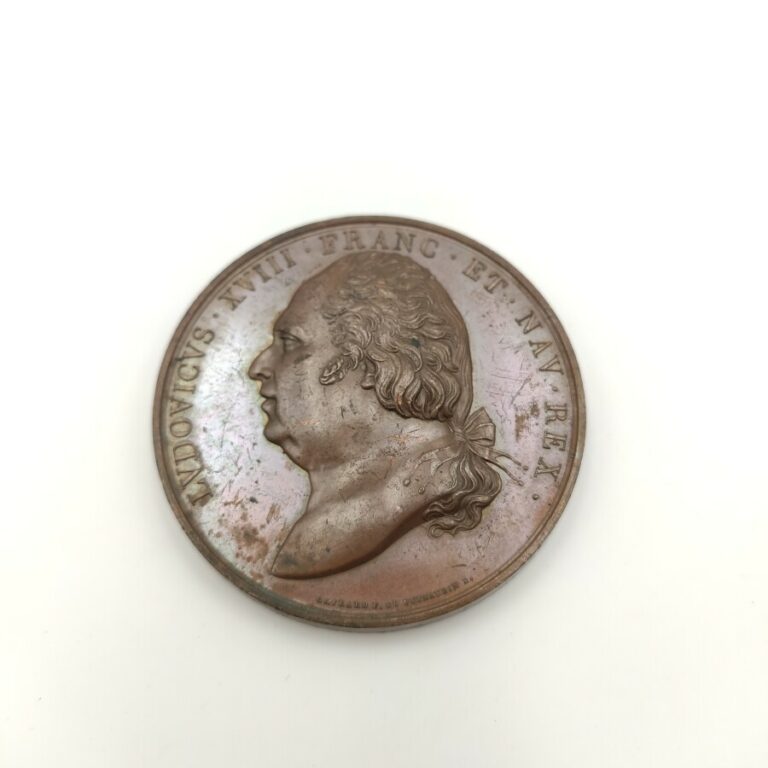 Louis XVIII (1815-1824). Médaille en bronze par Gayrard et De Puymaurin, commém…