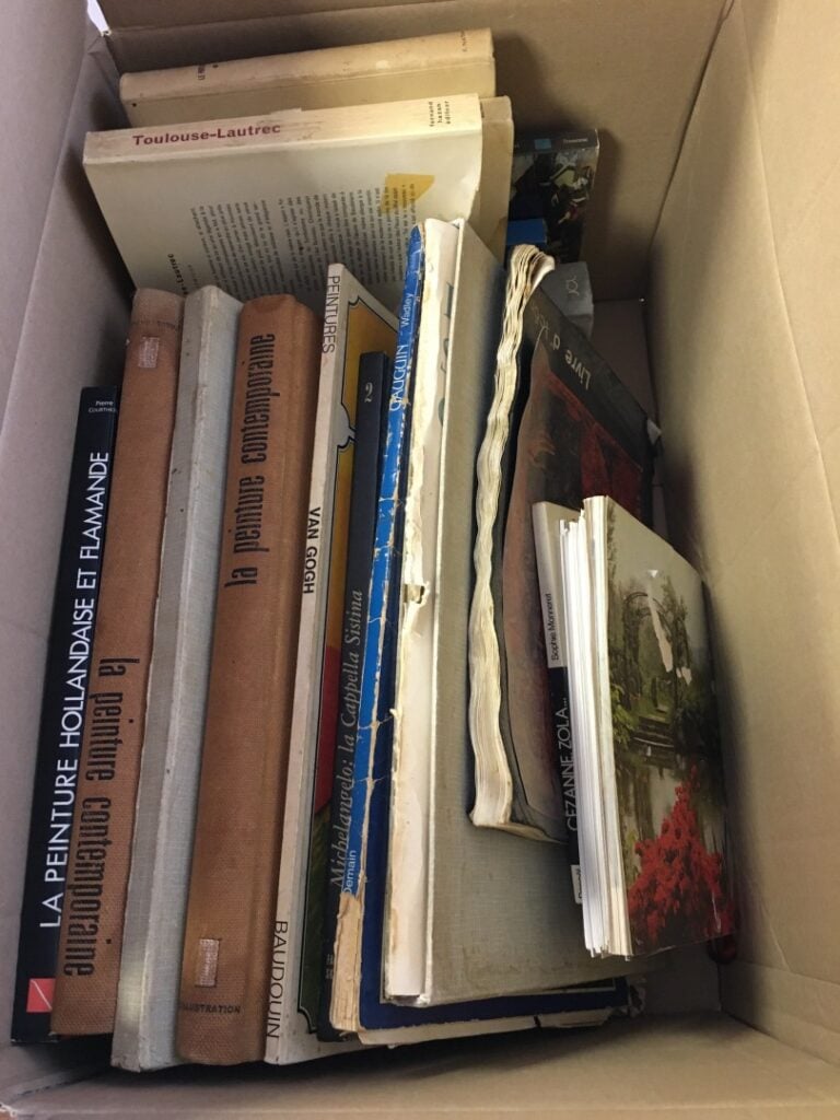 5 cartons de livres, principalement livres d'art, icônes, et divers