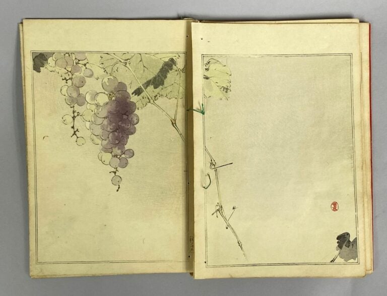 Album d'estampes en couleurs représentant des paysages et des animaux notamment…