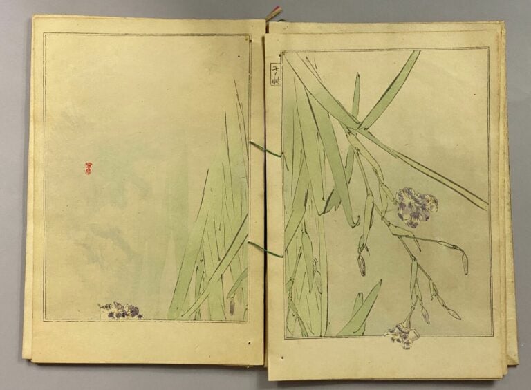 Album d'estampes en couleurs représentant des paysages et des animaux notamment…