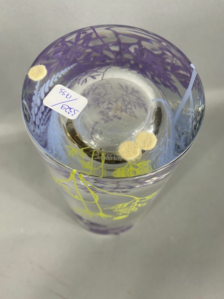 BACCARAT - Vase en cristal à décor imprimé polychrome d'oiseau branché, végétau…