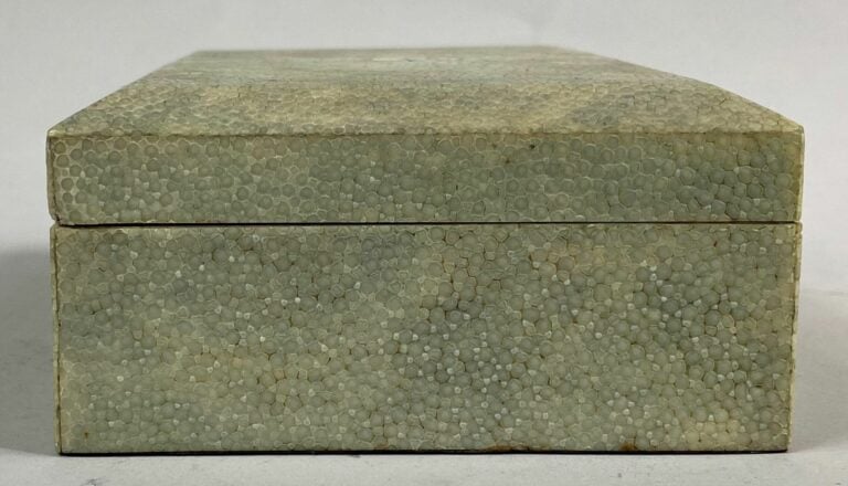 Boîte rectangulaire en bois et placage de galuchat dans les tons beige - 5 x 16…