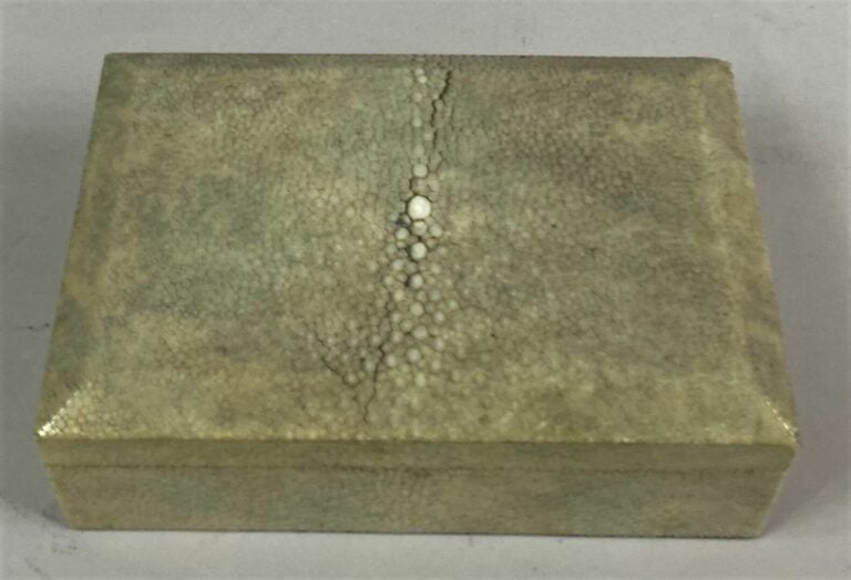 Boîte rectangulaire en bois et placage de galuchat dans les tons beige - 5 x 16…