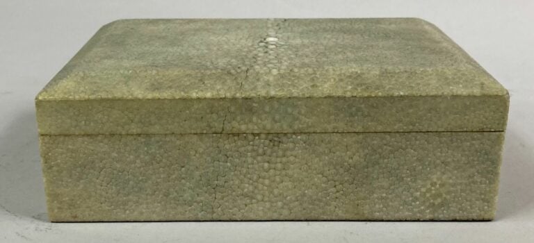 Boîte rectangulaire en bois et placage de galuchat dans les tons beige - 5 x 16…