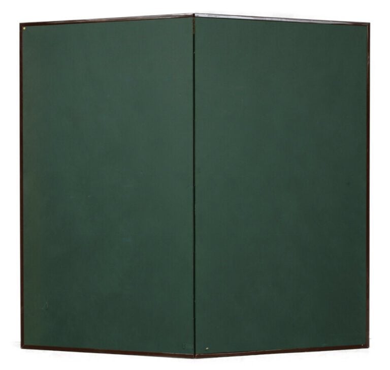 Byobu / paravent à deux panneaux avec une peinture dynamique d'un grand pin sur…