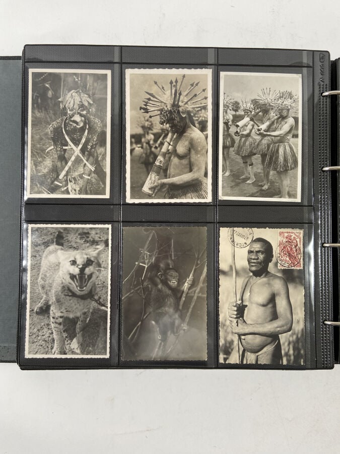 CARTES POSTALES - AFRIQUE ÉQUATORIALE Classeur : - - ZAGOURSKI : Danses, cérémo…