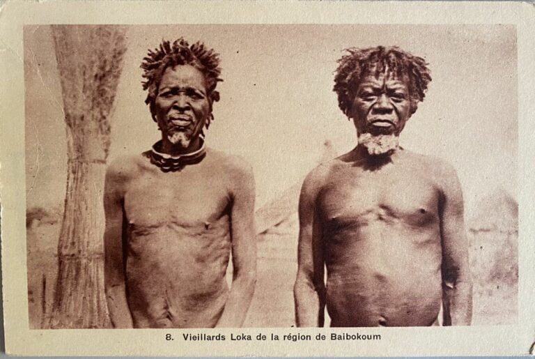 CARTES POSTALES - AFRIQUE EQUATORIALE FRANÇAISE Classeur : - - Georges F. Aurat…