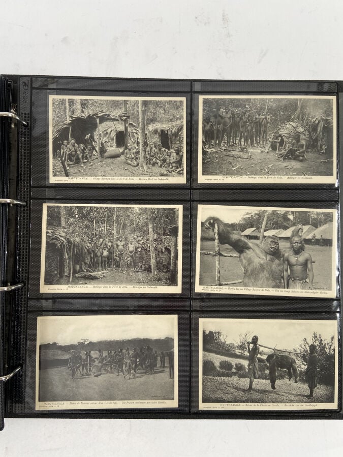 CARTES POSTALES - AFRIQUE OCCIDENTALE FRANÇAISE et AFRIQUE EQUATORIALE FRANÇAIS…