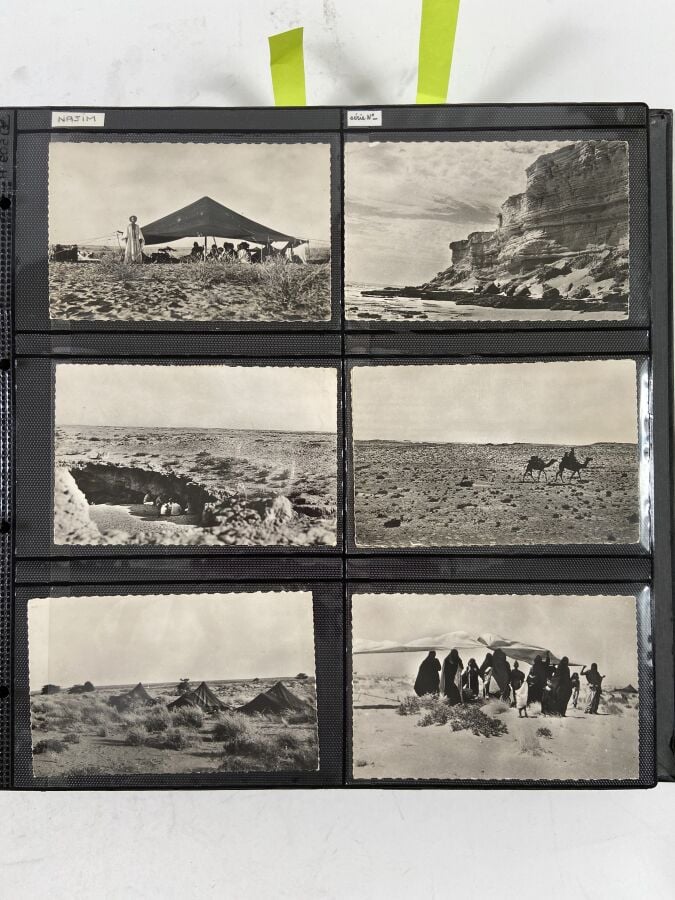 CARTES POSTALES - MAURITANIE Classeur : - - BOUBAKAR SYLLA : Environ 108 cartes…