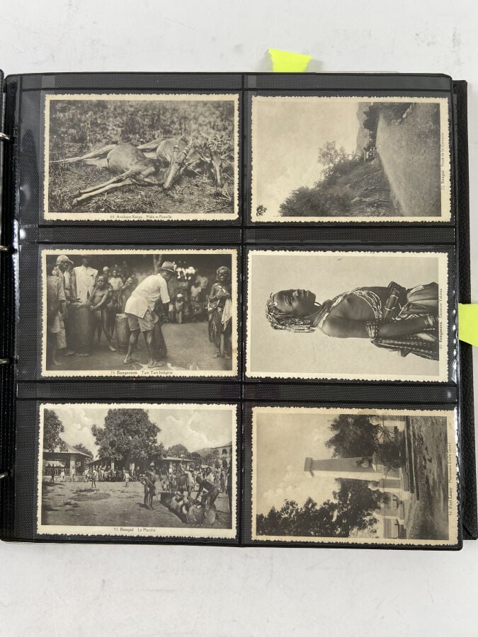 CARTES POSTALES - OUBANGUI-CHARI Classeur : - - ALMEIDA : Environ 42 cartes pos…