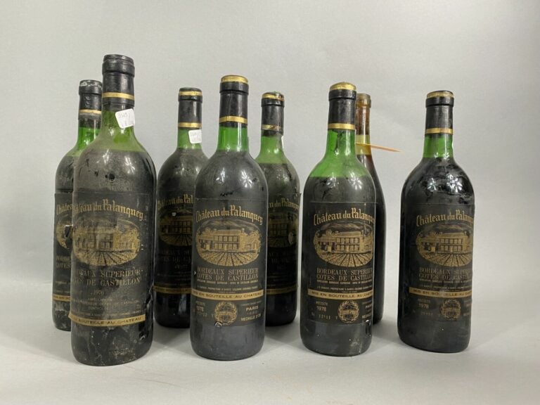 Château du Palanquey, Bordeaux supérieur, Côtes de Castillon - Lot de huit bout…