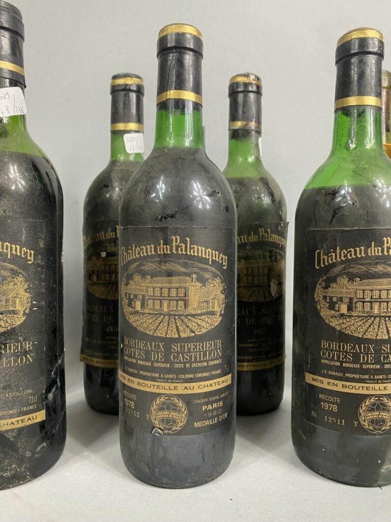 Château du Palanquey, Bordeaux supérieur, Côtes de Castillon - Lot de huit bout…