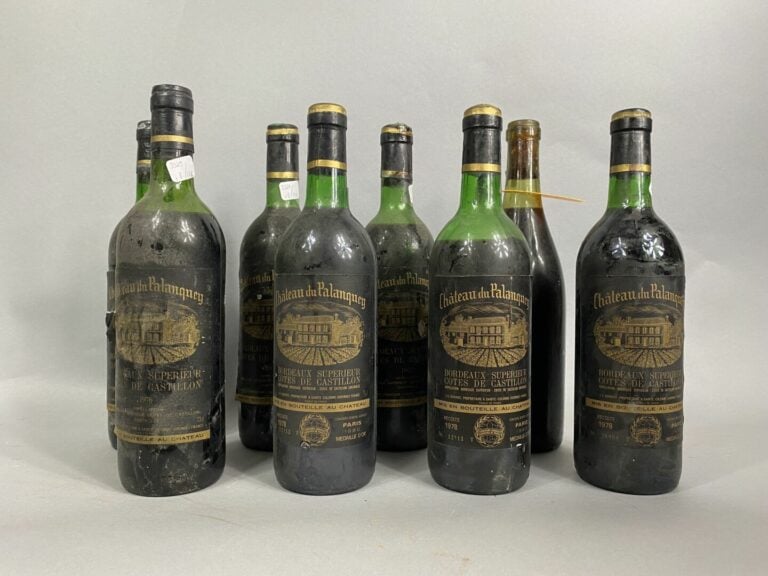 Château du Palanquey, Bordeaux supérieur, Côtes de Castillon - Lot de huit bout…