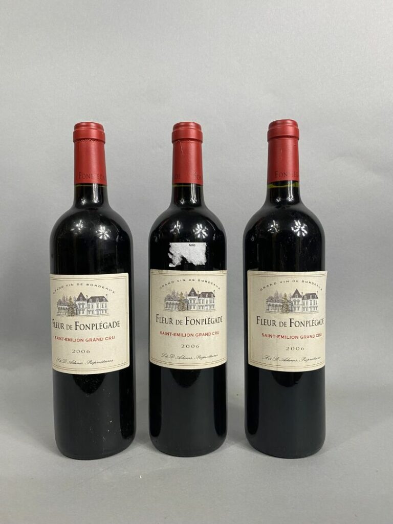 Château Fonplegade, Saint-Emilion Grand Cru - Lot de trois bouteilles, 2006 - (…