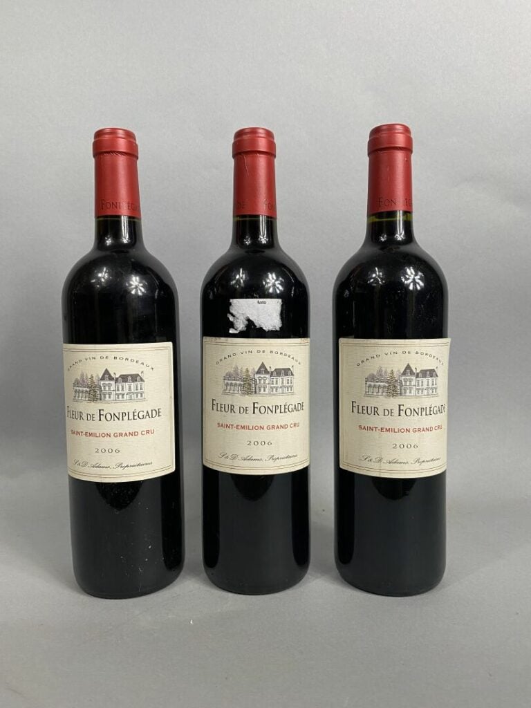 Château Fonplegade, Saint-Emilion Grand Cru - Lot de trois bouteilles, 2006 - (…