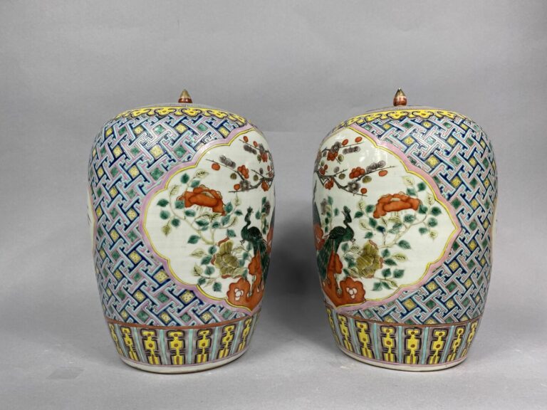 CHINE - Paire de potiches couvertes en porcelaine à décor de paons d'un côté et…