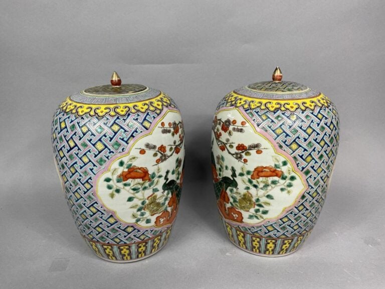 CHINE - Paire de potiches couvertes en porcelaine à décor de paons d'un côté et…