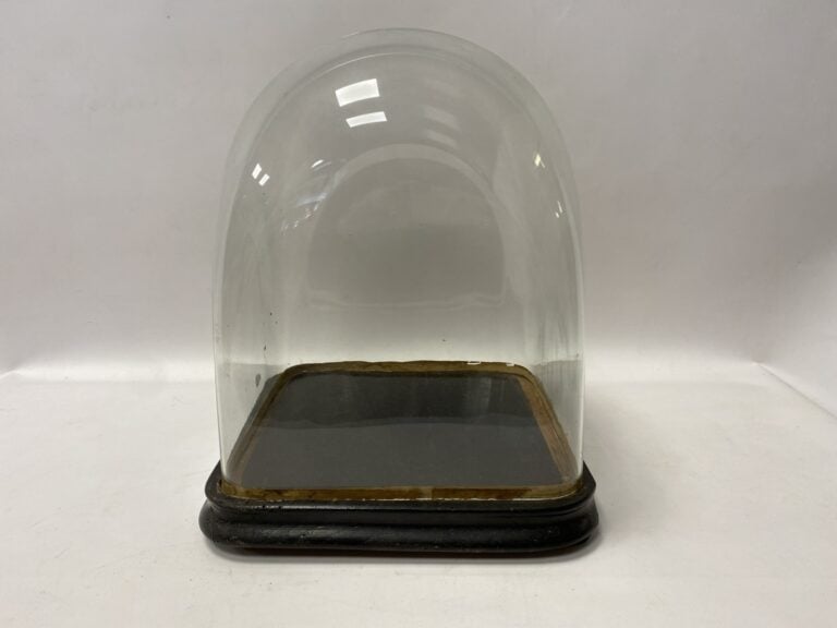 Cloche en verre sur un socle en bois.