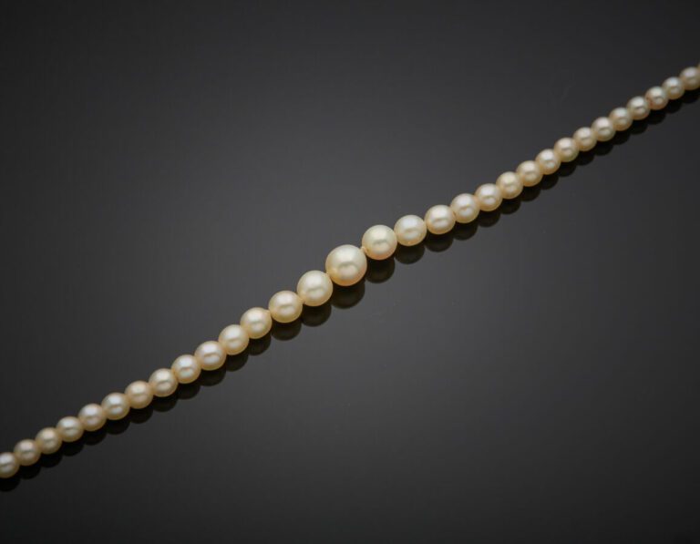 COLLIER composé d'un rang de perles de culture blanches. Fermoir en platine (mi…