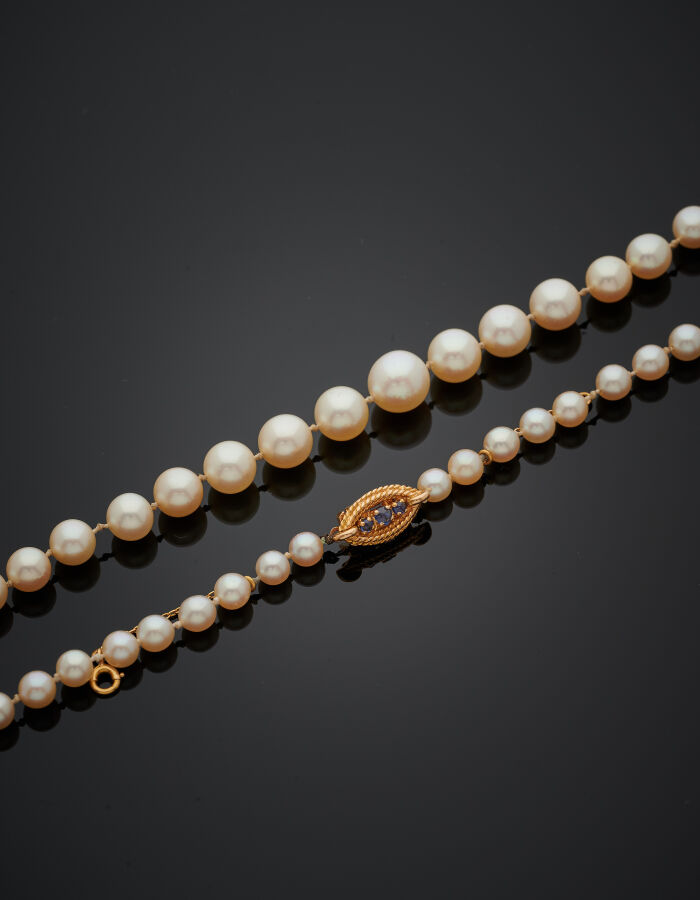COLLIER composé d'un rang de perles de culture de couleur crème, en chute. Ferm…