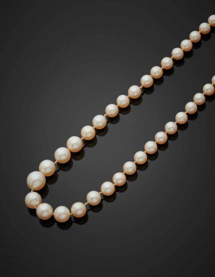 COLLIER composé d'un rang de perles de culture de couleur crème, en chute. Ferm…