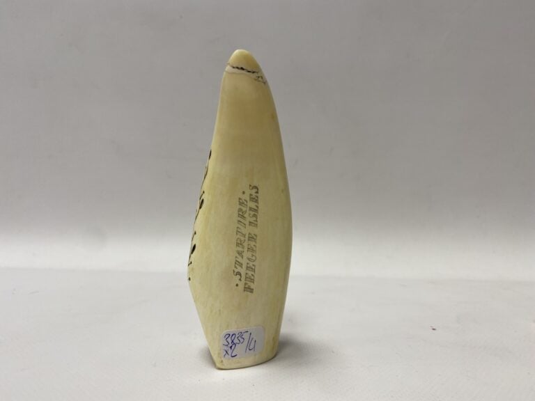 Deux scrimshaws en dent de cachalot à décor gravé sur le thème marin, l'un grav…