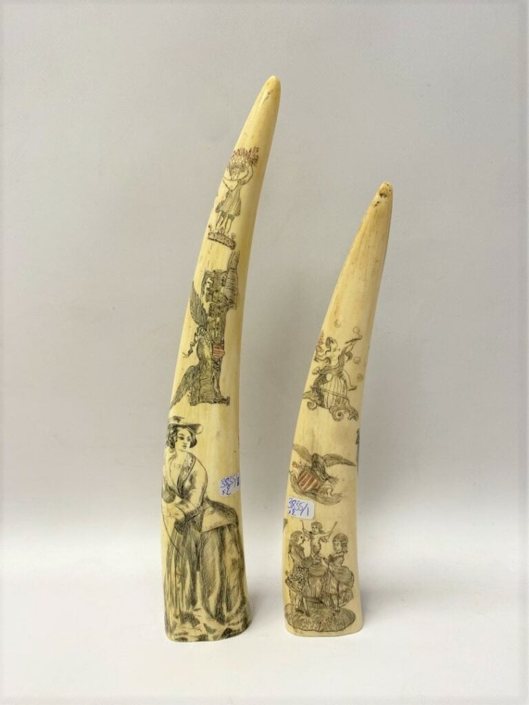 Deux scrimshaws en dent de morse, à thématique mêlant allégories matrimoniales…