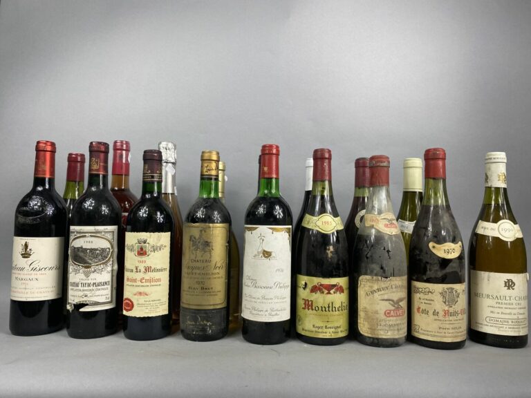 Ensemble de 17 bouteilles de vin divers comprenant vin rouge, rosé et autres al…