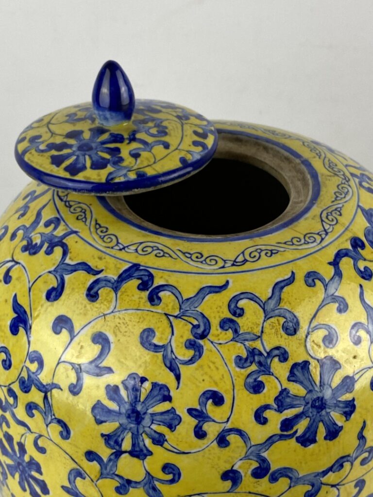 Grande potiche ovoïde couverte en céramique - Chine - A décor en bleu et blanc…