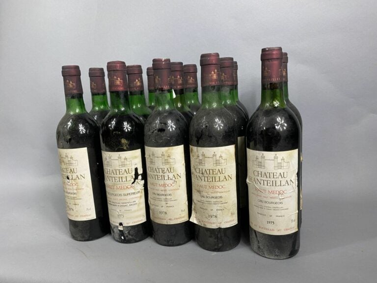 Haut Médoc, Château Hanteillan, Cru bourgeois - Lot de 15 bouteilles, 1973, 197…