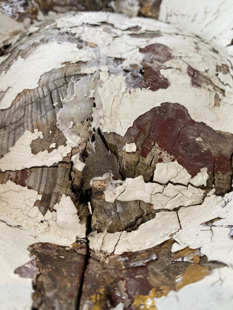 Importante tête de bouddha en bois sculpté peint, anciennement laquée - Sud-Est…
