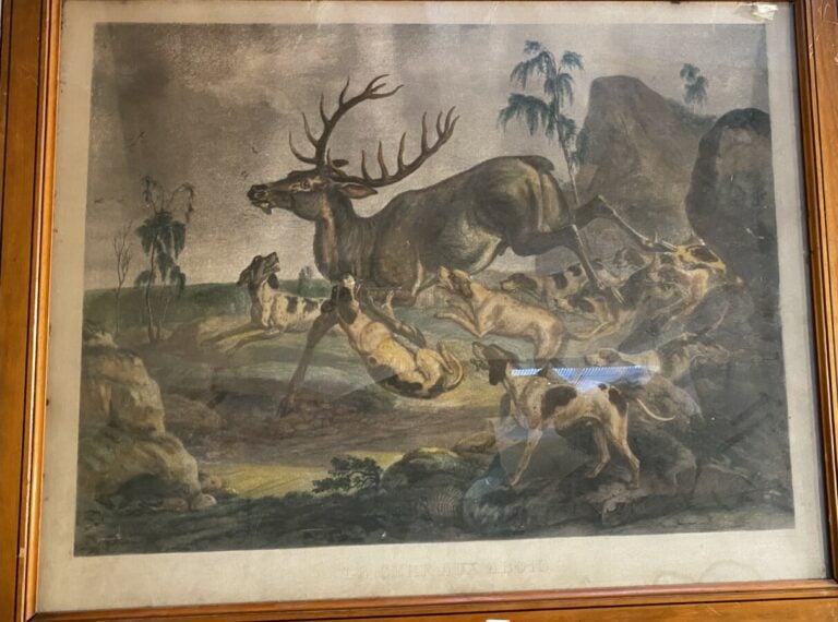 "Le cerf aux abois" - Aquatinte - Gravée par Hürlimann - 55 x 70 cm