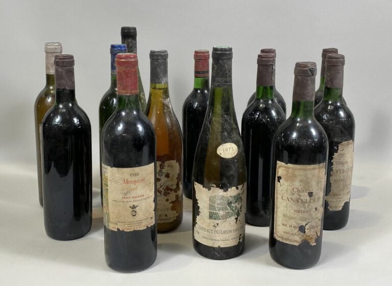 Lot de 13 bouteilles : - 1 ch Ducla, 1993 - 1 L'abeille de Fieuzal, Pessac Leog…